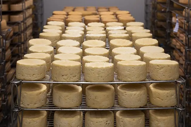 cheese-5125021_640